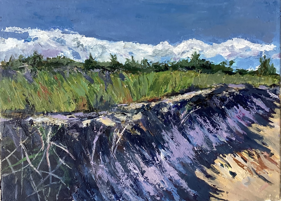 Changing Shoreline