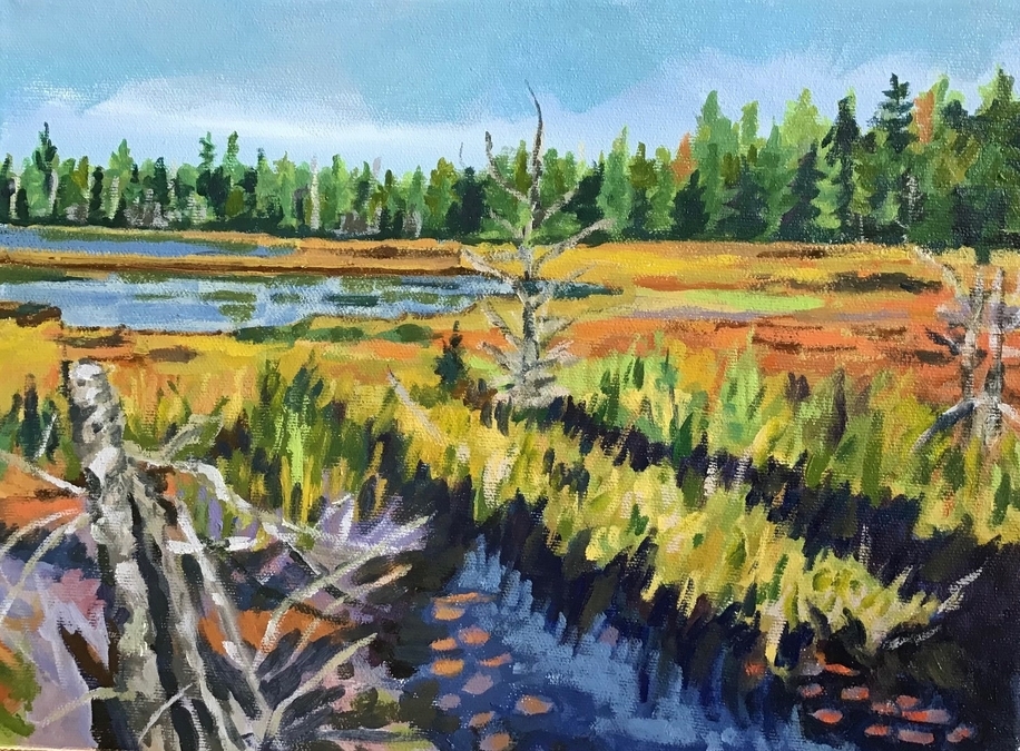 Mizzy Lake Trail