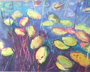 Potter Creek Water Lilies