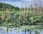 Marsh with Irises