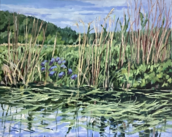 Marsh with Irises